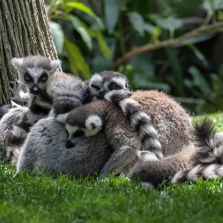 Floor Park With Parking Fuengirola