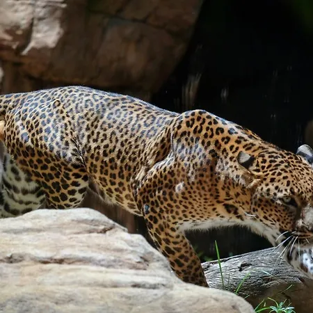 Apartment Floor Park With Parking